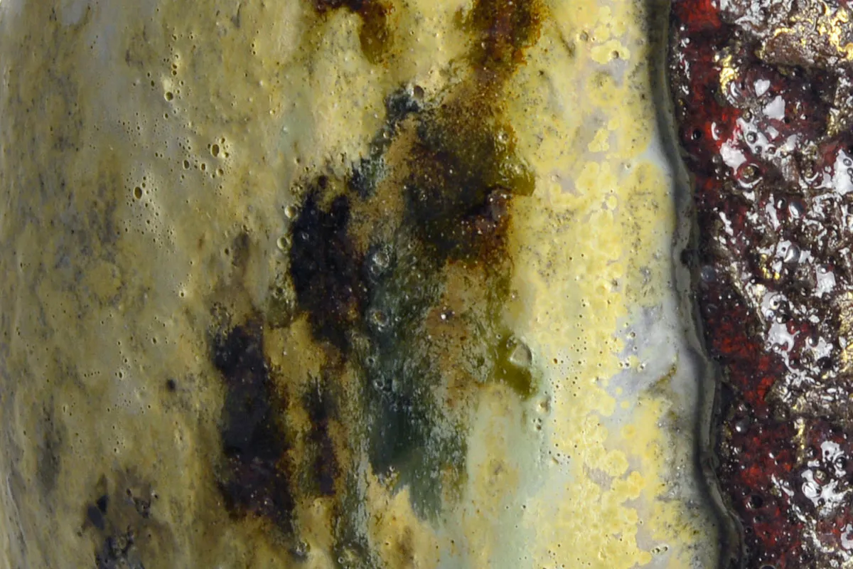 Twilight Pine - detail