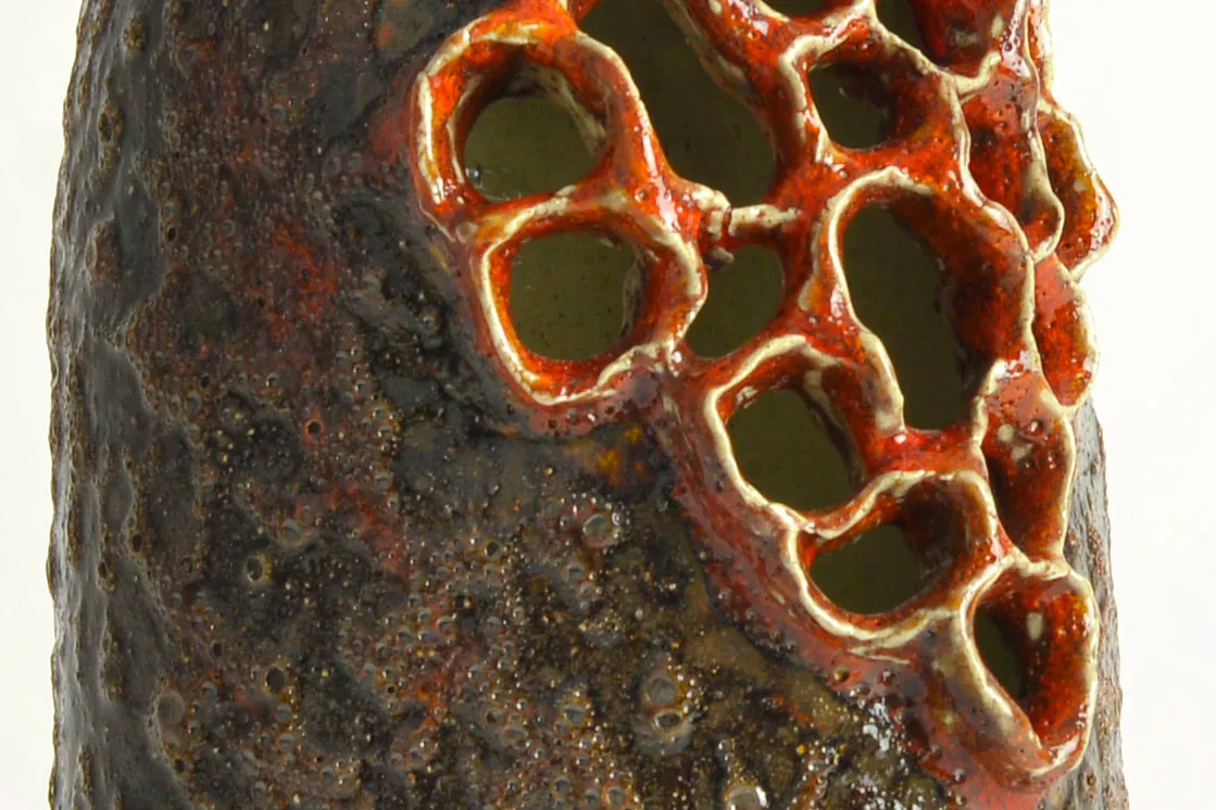 Red Lychen - detail